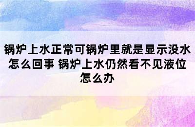 锅炉上水正常可锅炉里就是显示没水怎么回事 锅炉上水仍然看不见液位怎么办